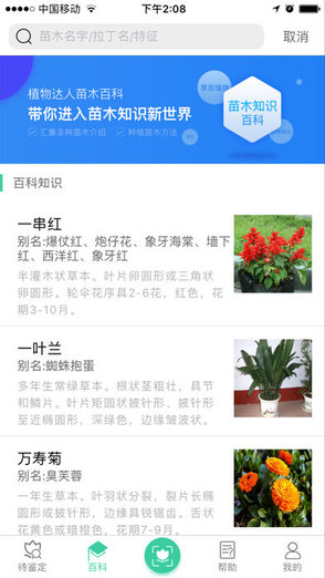 植物达人