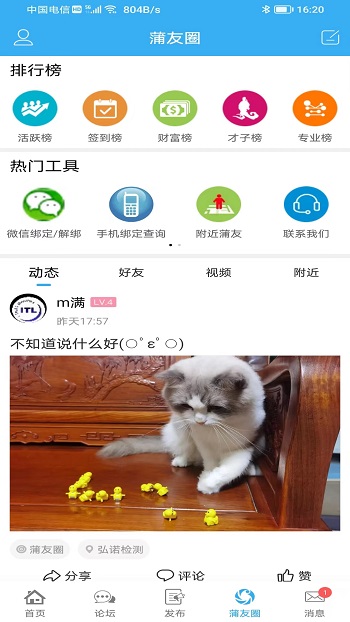 蒲公英社区客户端(蒲公英论坛)