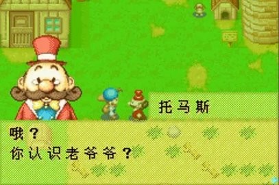 矿石镇伙伴们