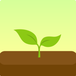 Forest专注森林