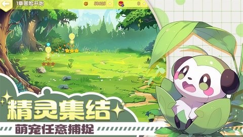 口袋王牌