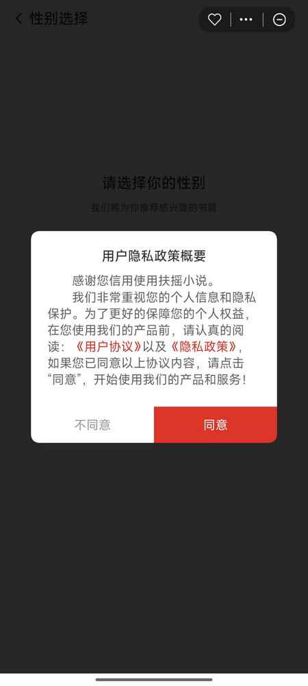 扶摇小说