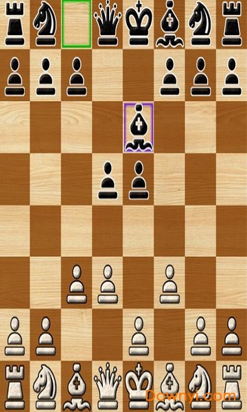 国际象棋大师 国际象棋大师