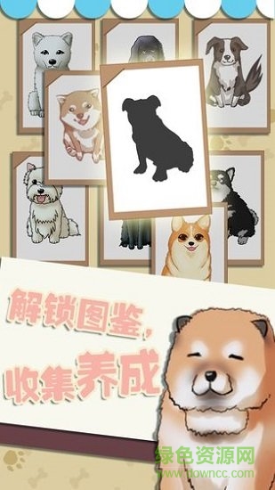 狗狗派对