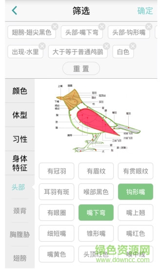 中国野鸟速查 中国野鸟速查