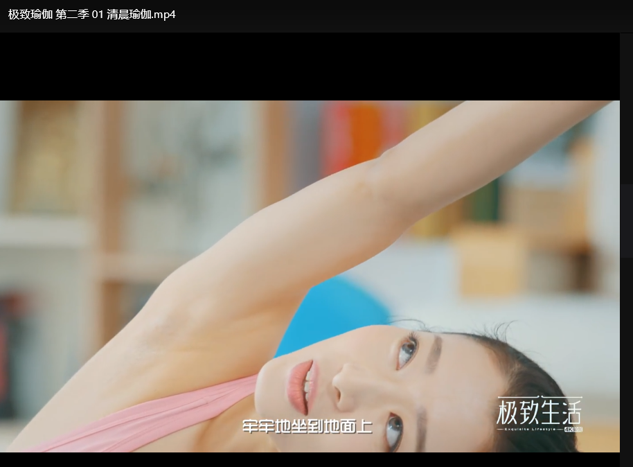 极致瑜伽1-6季全集高清视频 极致瑜伽1-6季全集高清视频