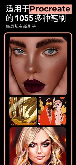 brusheser for procreate绘画工具