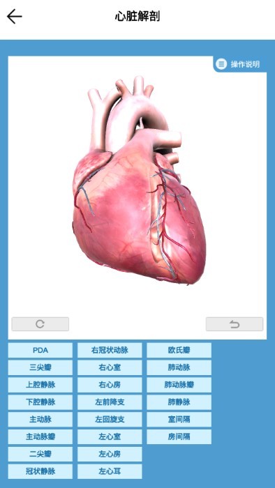 维思模 TEE APP