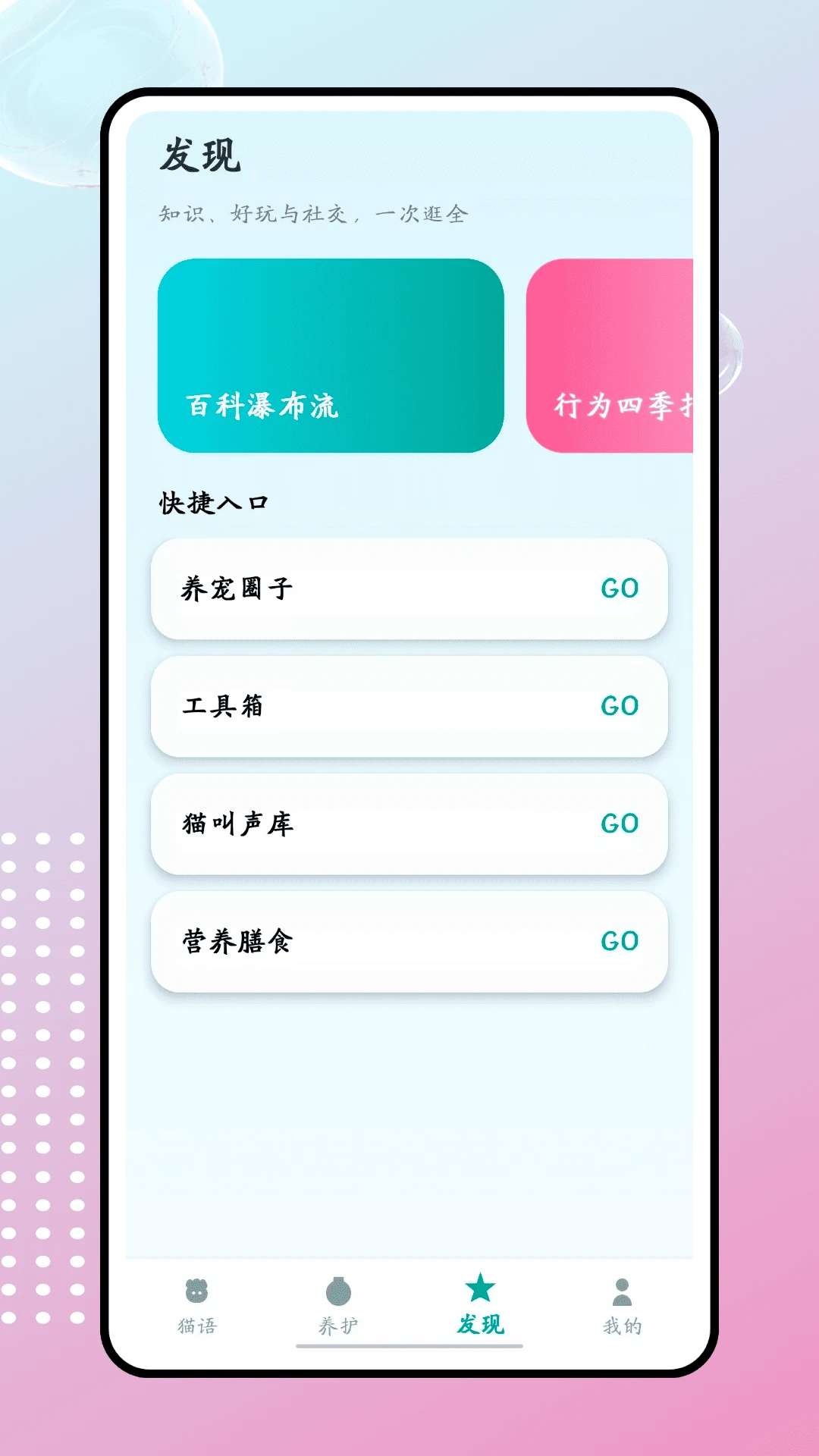 肥猫 肥猫