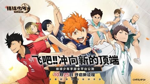 排球少年:新的征程 排球少年:新的征程