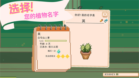 窗口
