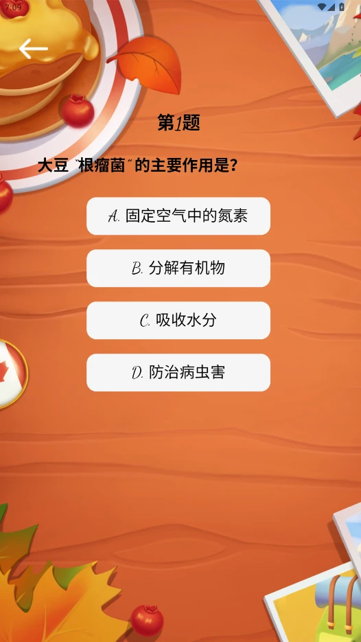 红番薯