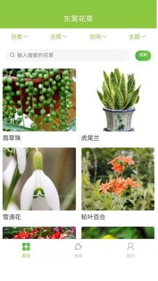 东篱花草
