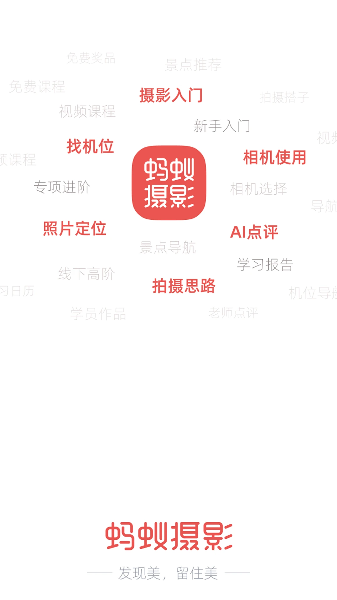 蚂蚁摄影