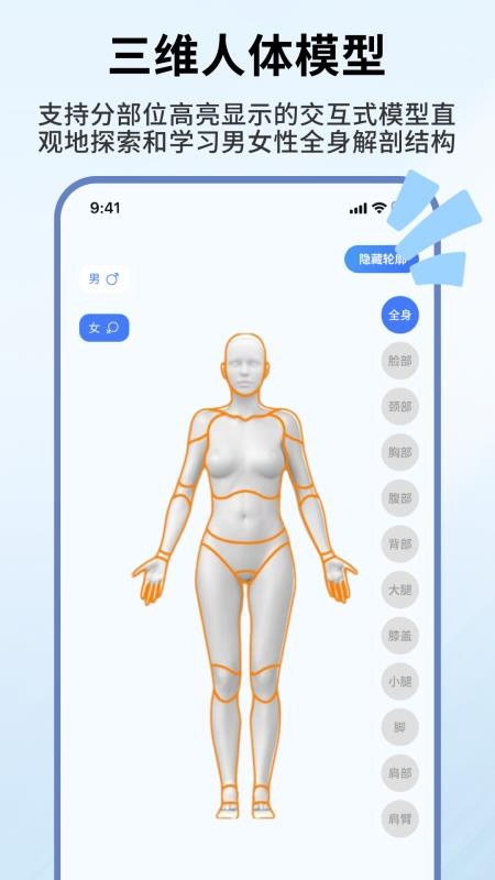 人体解剖学图谱