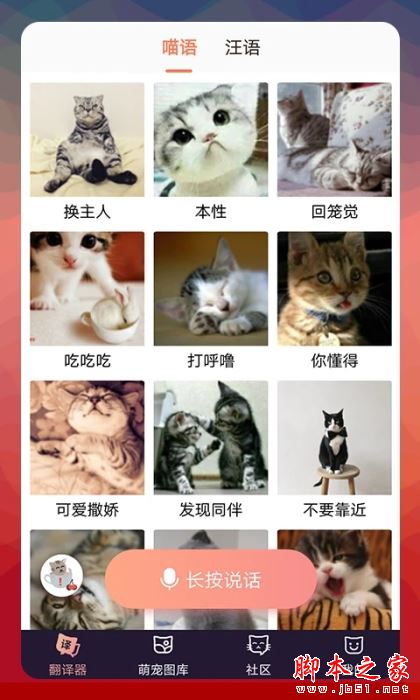 猫语翻译器 v2.8.4 安卓版