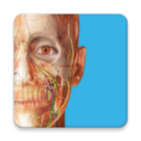 人体解剖学图谱(Atlas)手机版下载