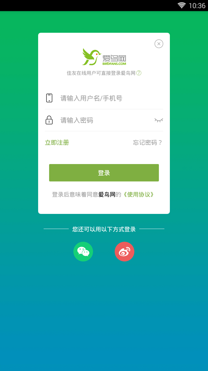 爱鸟