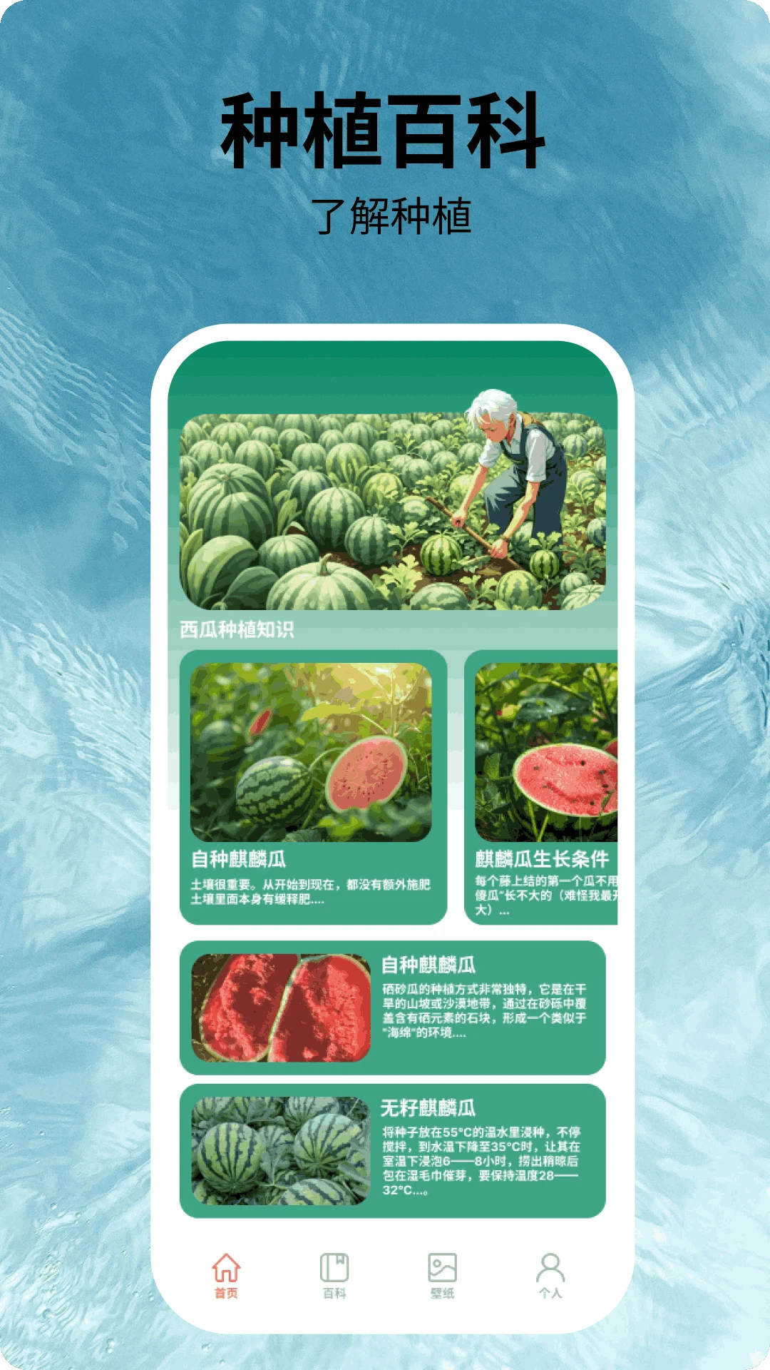 福运西瓜