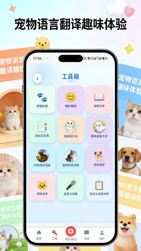 旺言喵语 旺言喵语
