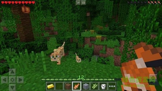 我的世界基岩版1.19正式版