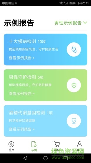 掌上云杉 掌上云杉