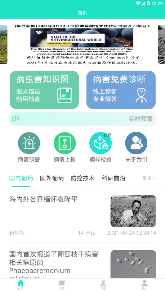葡萄医生
