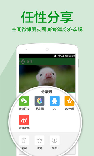 傲游哈哈