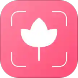 扫码识花
