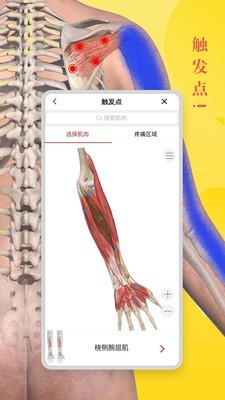 Easy解剖