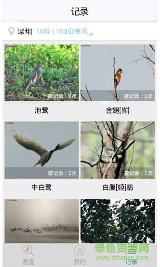 中国野鸟速查 中国野鸟速查