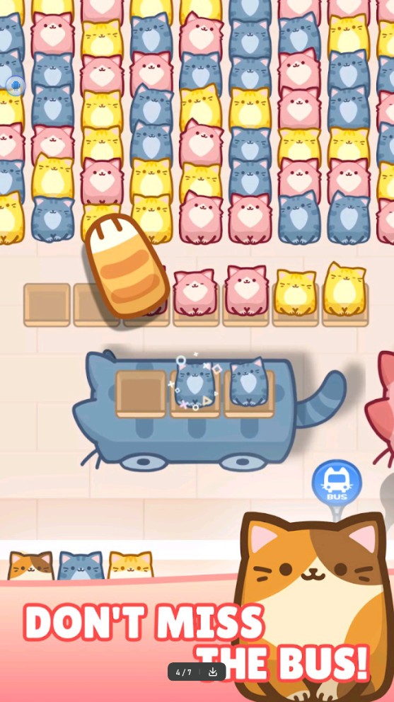 Box Cat Jam安装器
