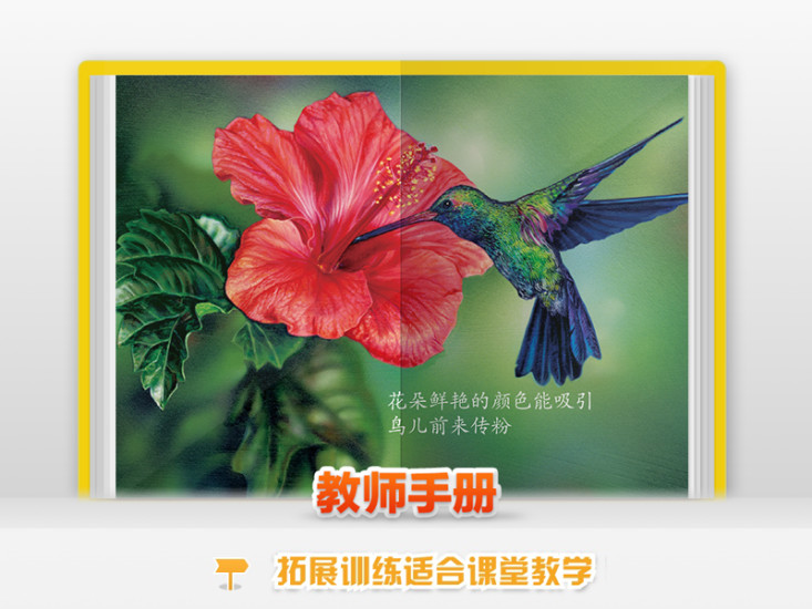 十万个为什么语音版