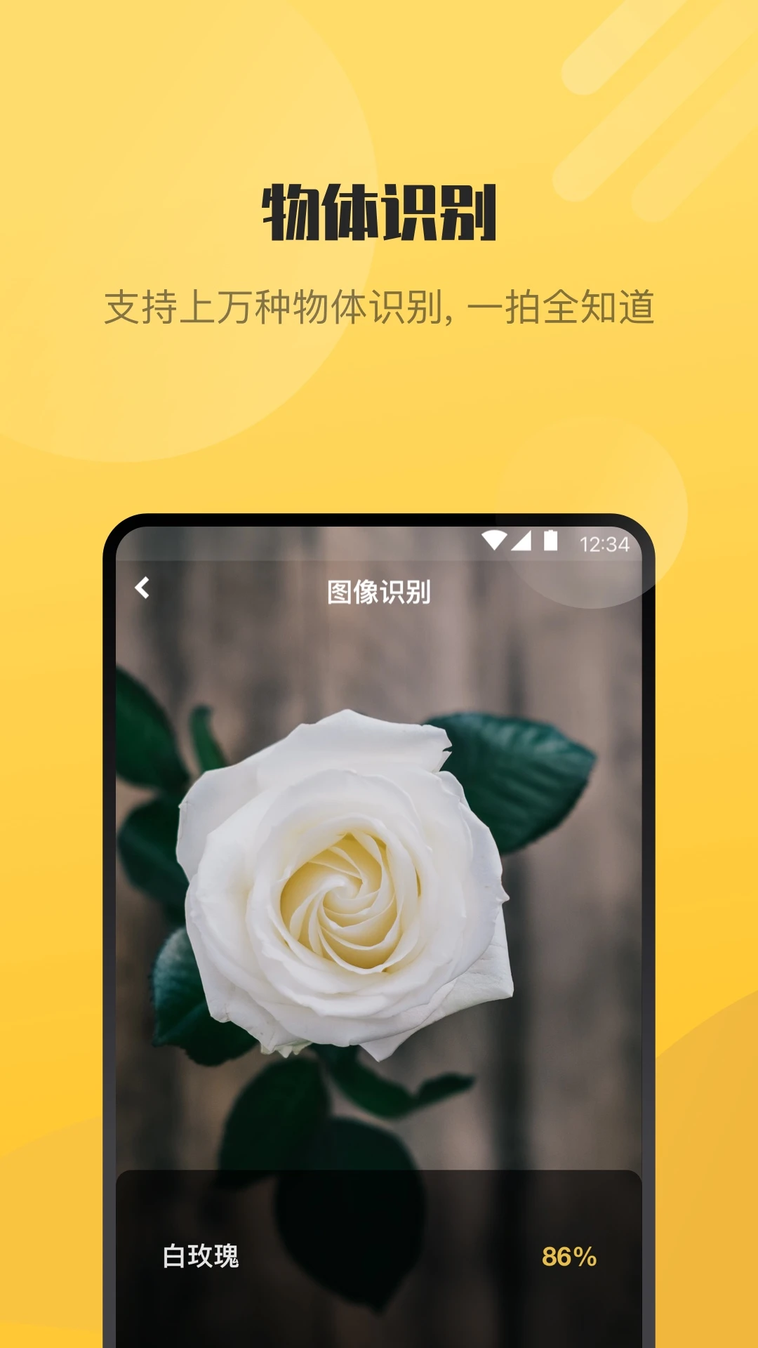 AI爱识别