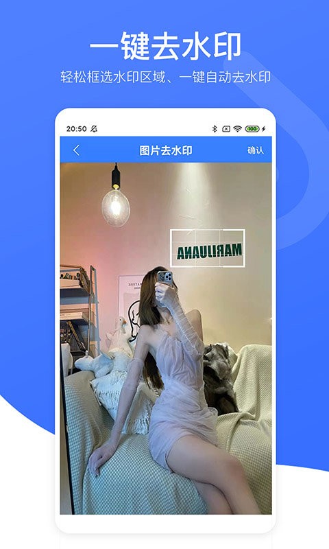 视频去水印专家 视频去水印专家