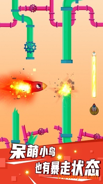 疯狂小鸟 疯狂小鸟