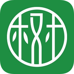 我爱我树