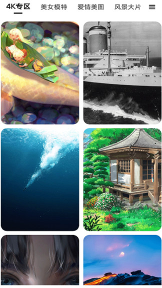 多多动态壁纸免费下载 多多动态壁纸免费下载