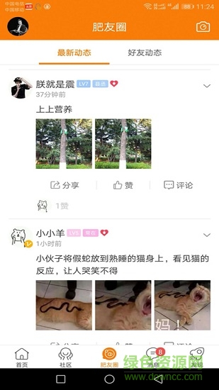 大肥城