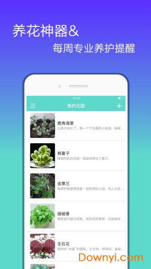 花信软件
