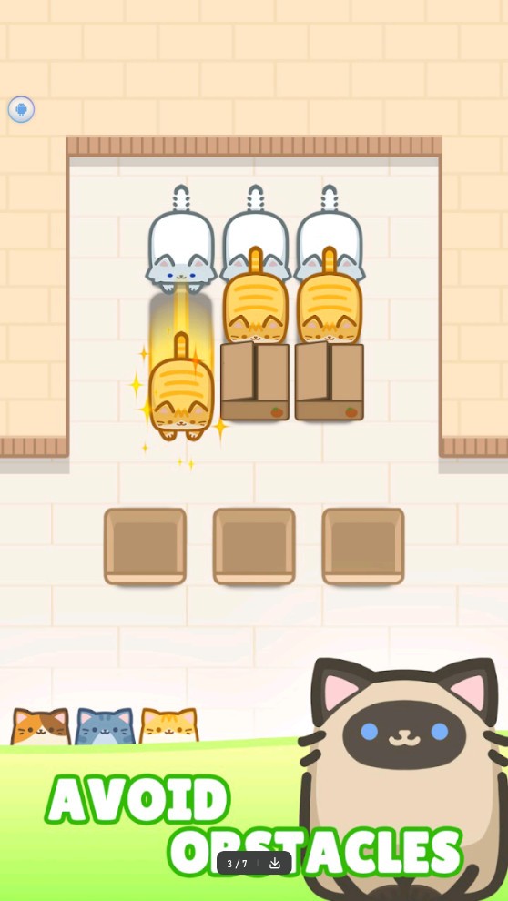 Box Cat Jam安装器