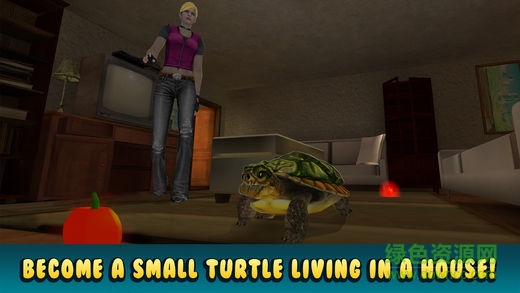 乌龟模拟器正式版 乌龟模拟器正式版