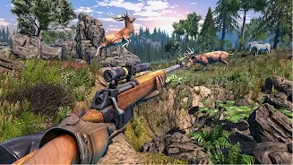 野鹿狩猎射击(DeerHunting)