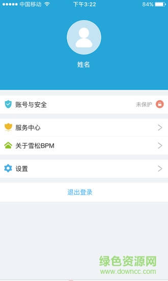 雪松BPM