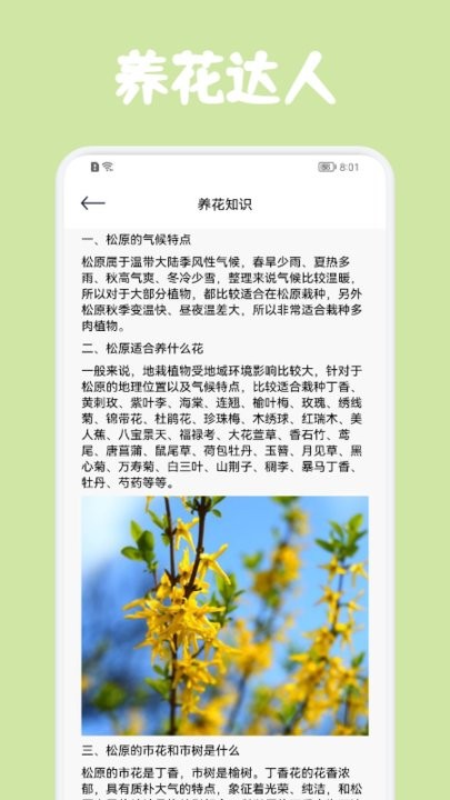 识花帮