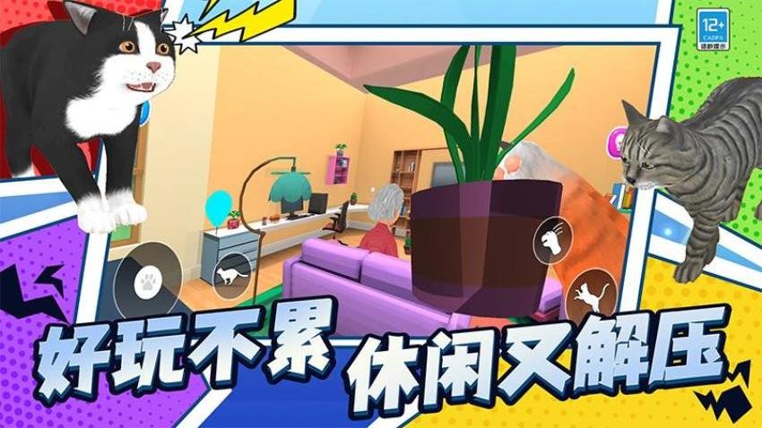 喵星人日常