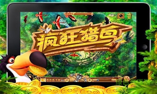 疯狂猎鸟 疯狂猎鸟