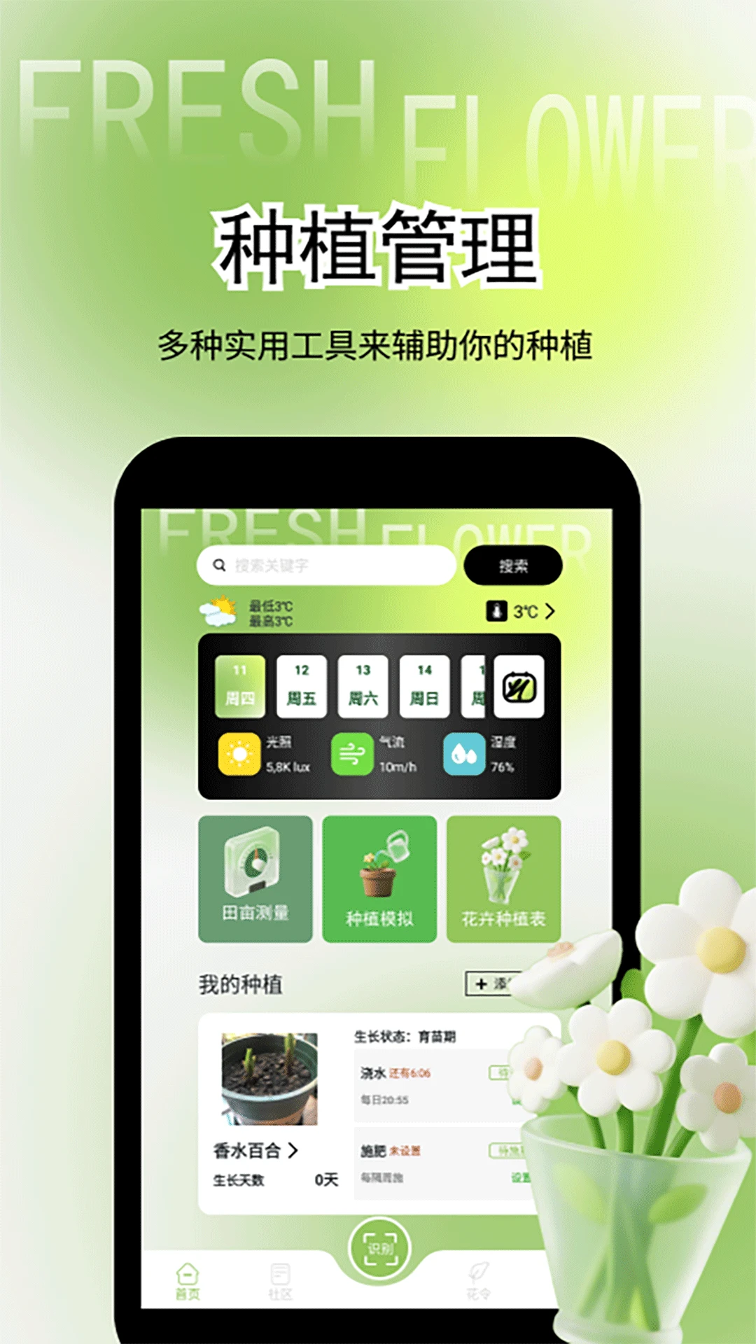 鲜花盛开