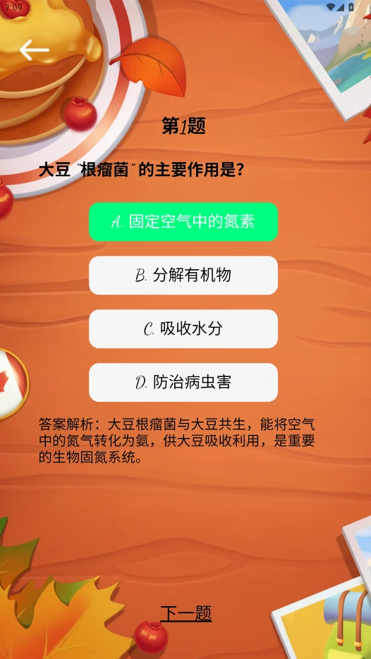 红番薯