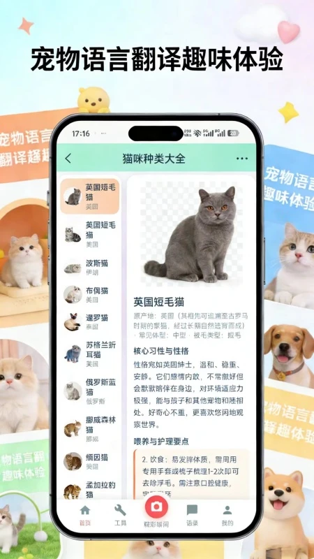 旺言喵语
